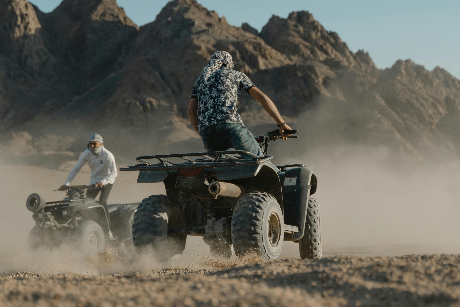 safari